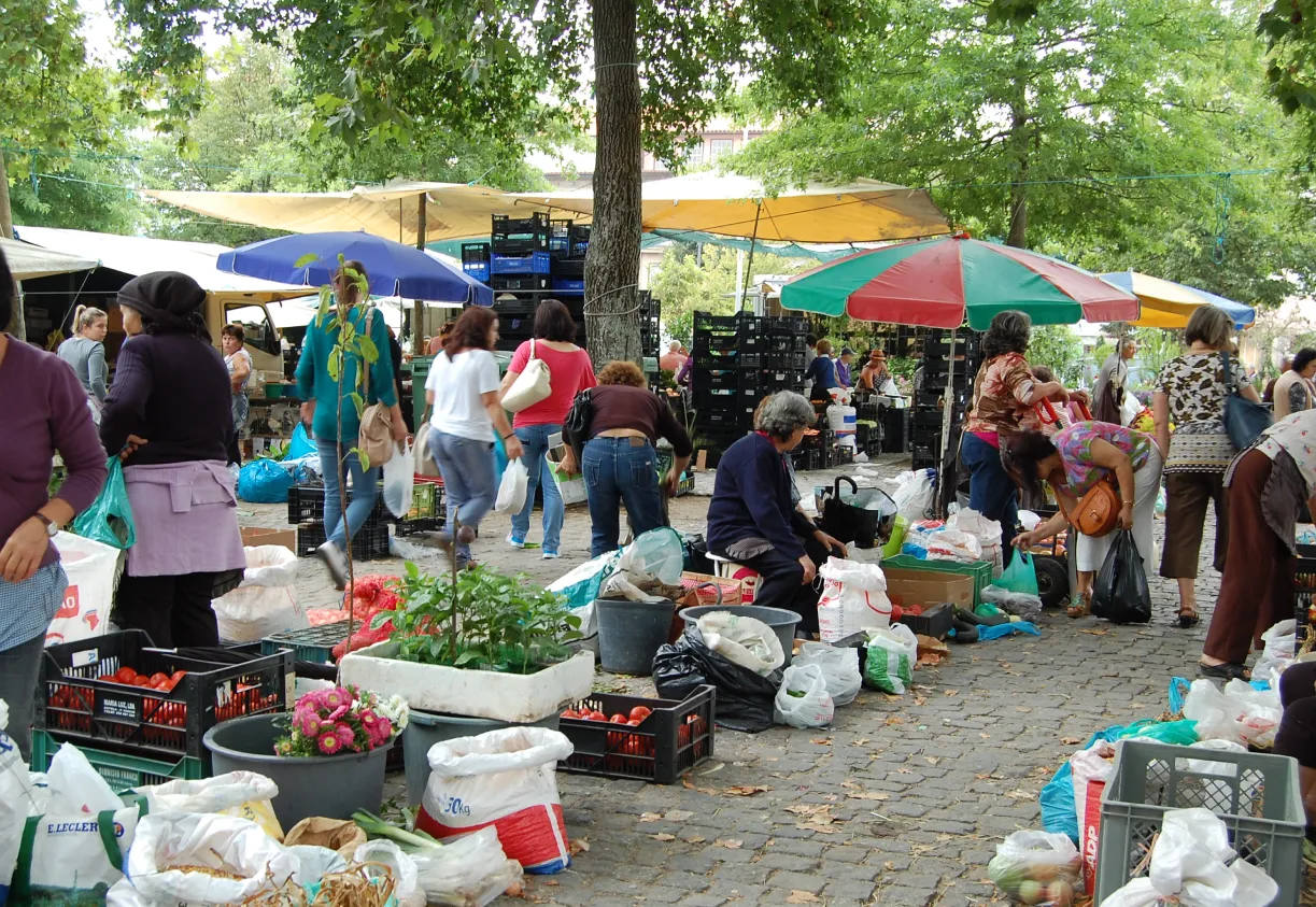 2000 Decreto Nº 3.551 de 4 de Agosto/2000