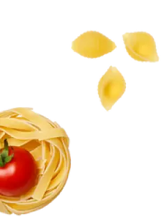 icone romanha pagina Mundo de descobertas – Lanche rápido na air fryer 3